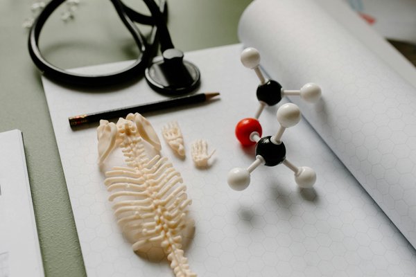 Les effets du tabagisme sur l'incidence du cancer